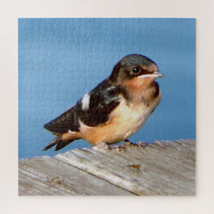 Barn Swallow jigsaw puzzle
