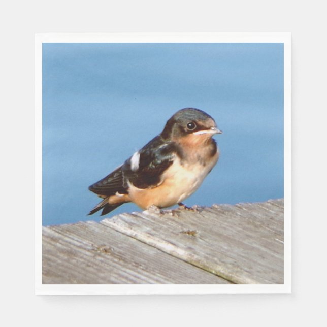 Barn Swallow napkin (Front)