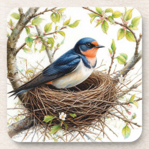 Barn Swallow Nesting on a Blossom-Covered Branch Coaster