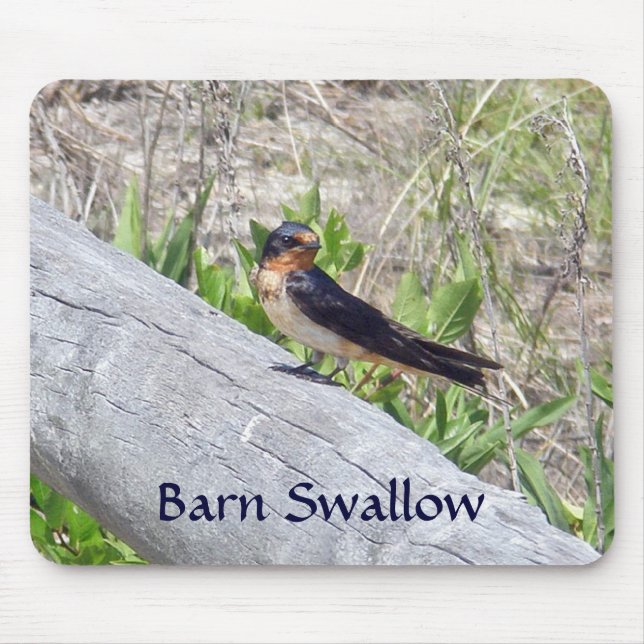 Barn Swallow on Fence Mousepad (Front)