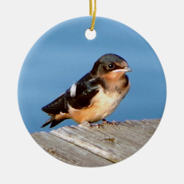 Barn Swallow ornament (Front)