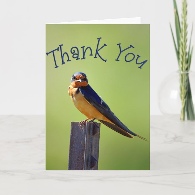 Barn Swallow Photo Thank You Card (Front)
