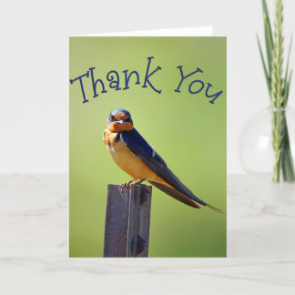Barn Swallow Photo Thank You Card