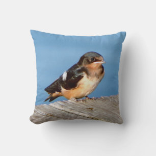 Barn Swallow pillow