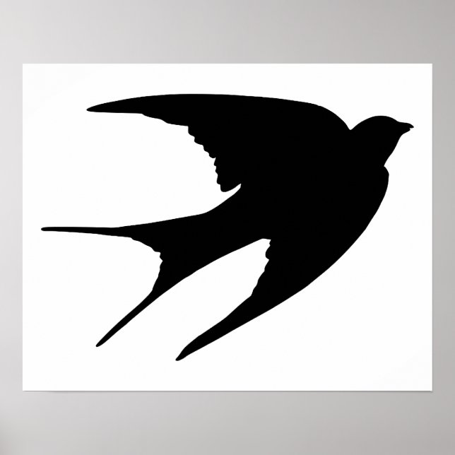 Barn Swallow Poster (Front)