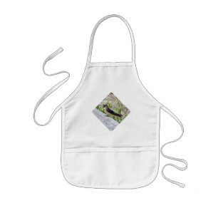 Barn Swallow Series Kids Apron