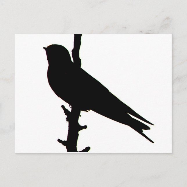 Barn Swallow silhouette Postcard (Front)