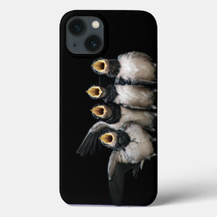 Barn Swallow Singing iPhone 13 Case