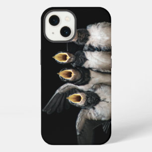Barn Swallow Singing iPhone 13 Case
