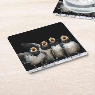 Barn Swallow Singing Square Paper Coaster