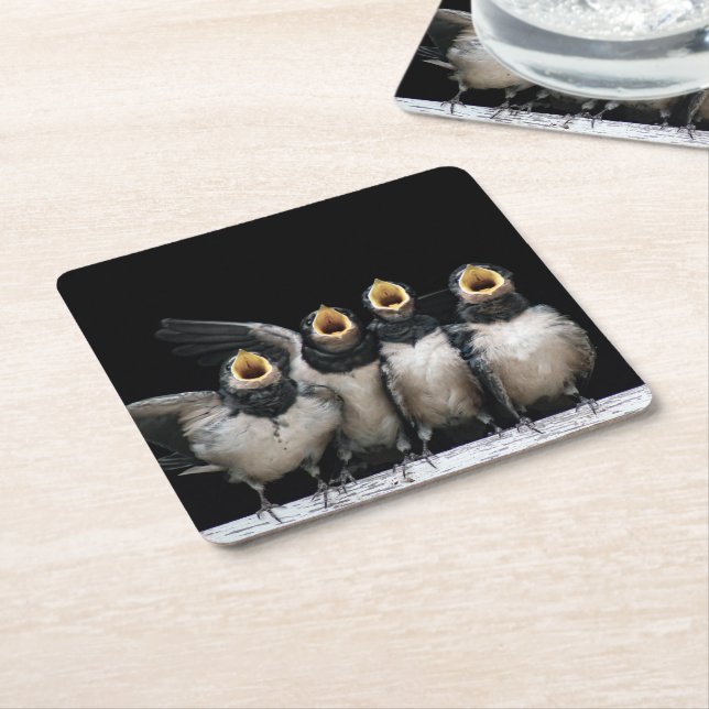 Barn Swallow Singing Square Paper Coaster (Angled)