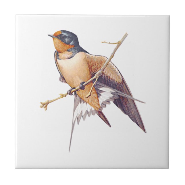 Barn Swallow Tile. Ceramic Tile (Front)