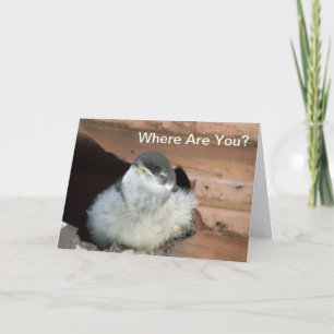 Barn Swallow Valentine Card
