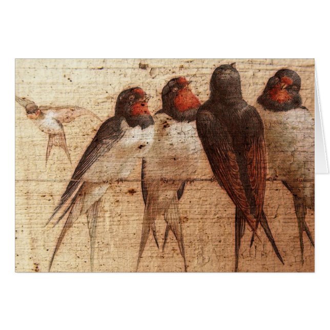 Barn Swallows (Front Horizontal)