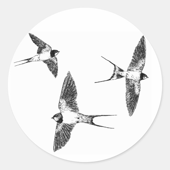 Barn swallows classic round sticker (Front)