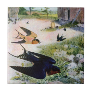 Barn Swallows Fly Around Old Outbuildings Ceramic Tile