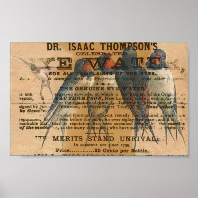 Barn Swallows Vintage Poster (Front)