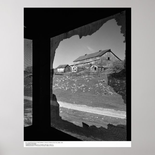 Barn through Broken Screen of Old Cookhouse Poster (Front)