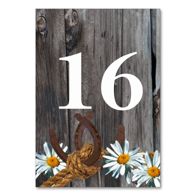 Barn Wood Daisies and Horseshoes Table Number (Front)