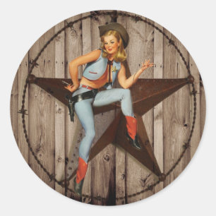 Barn Wood Texas Star western country Cowgirl Classic Round Sticker