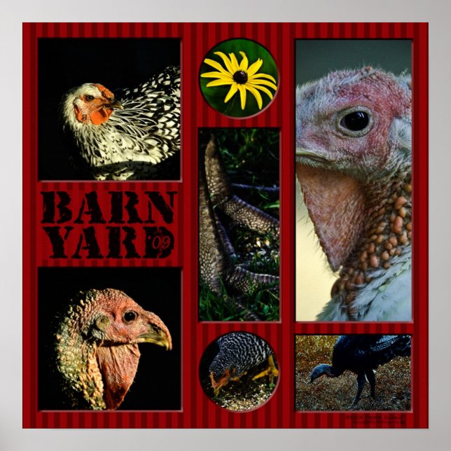 Barn Yard Montage Poster (Front)
