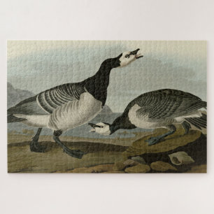 Barnacle Goose - from Audubon's Birds of America Jigsaw Puzzle