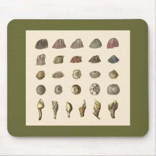 Barnacle mousepad