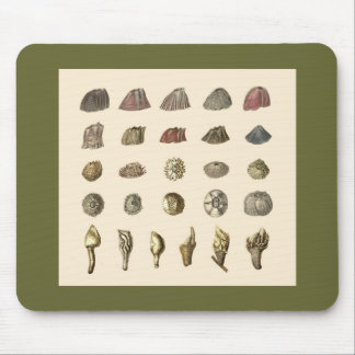 Barnacle mousepad