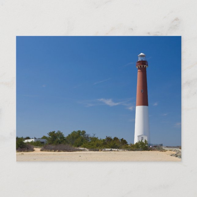 Barnegat Lighthouse Postcard (Front)