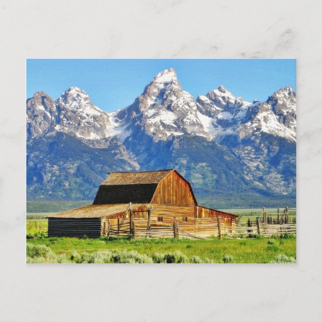 Barns Grand Tetons Mountains Postcard (Front)