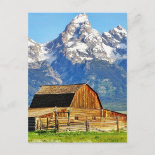 Barns Grand Tetons Mountains Postcard