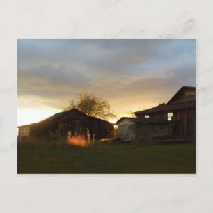 Barns in the Afternoon Sunlight Postcard