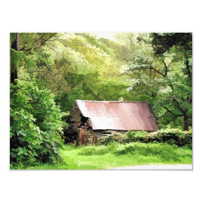 BARNS PHOTO PRINT (Front)