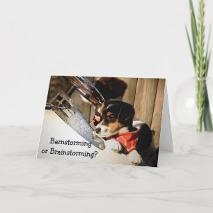 BARNSTORMING/BRAINSTORMING TERRIERS "40th" Card