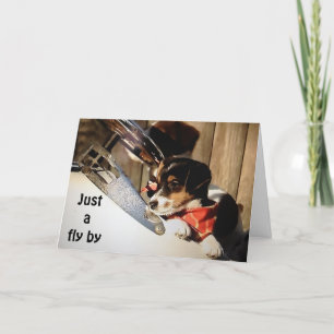 BARNSTORMING RUSSELL TERRIORS SAY HAPPY 40th Card