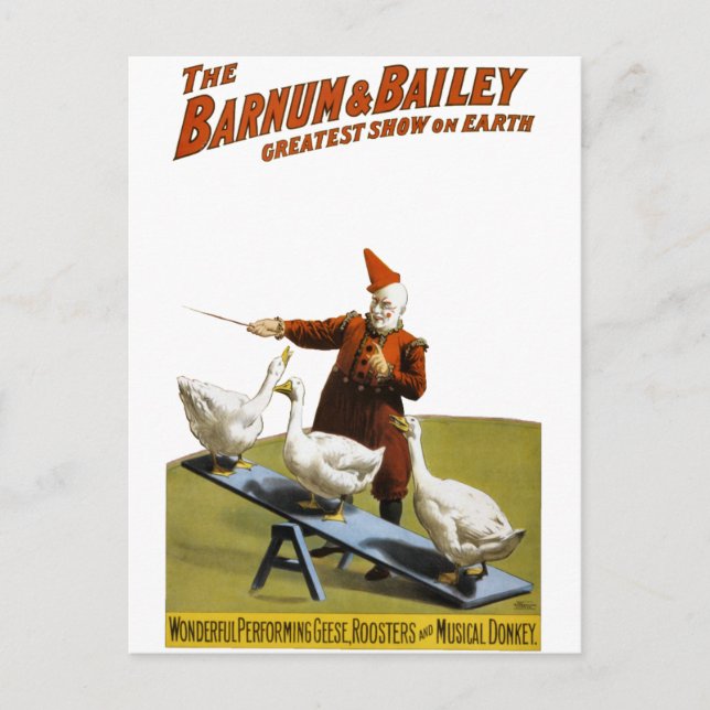Barnum and Bailey: Performing Geese Postcard (Front)