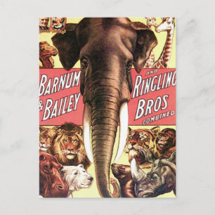 Barnum & Bailey and Ringling Bros Combined - Eleph Postcard