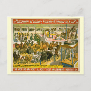 Barnum & Bailey Circus Poster Postcard