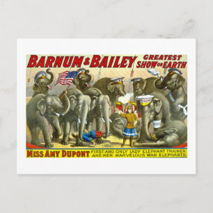 Barnum & Bailey - Elephants Postcard