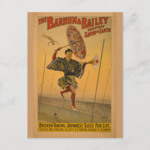 Barnum & Bailey Slide for Life Circus Poster Postcard