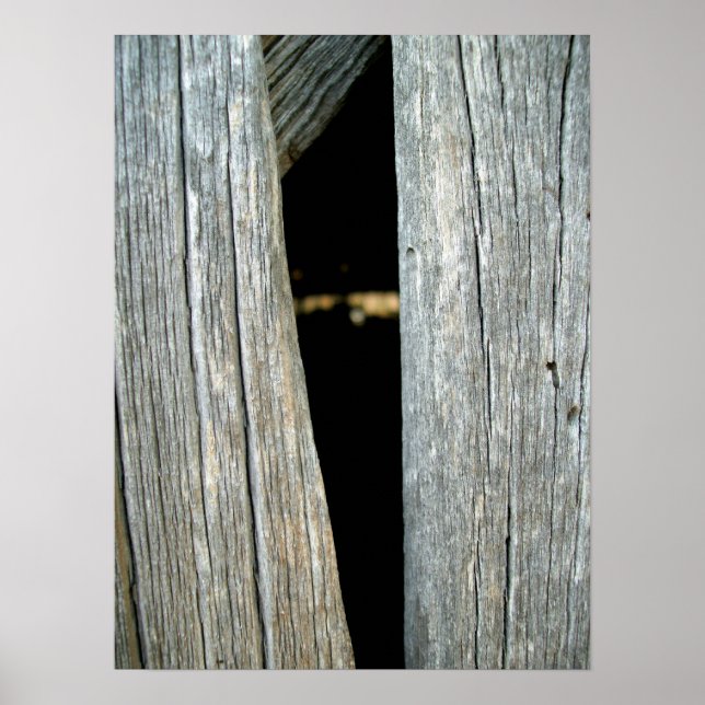 Barnwood Poster (Front)