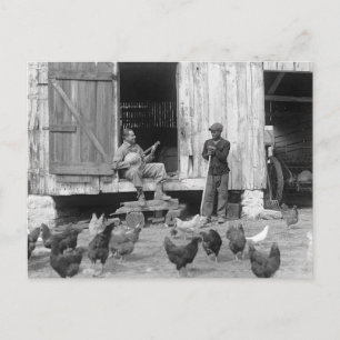 Barnyard Banjo Player, 1927 Postcard