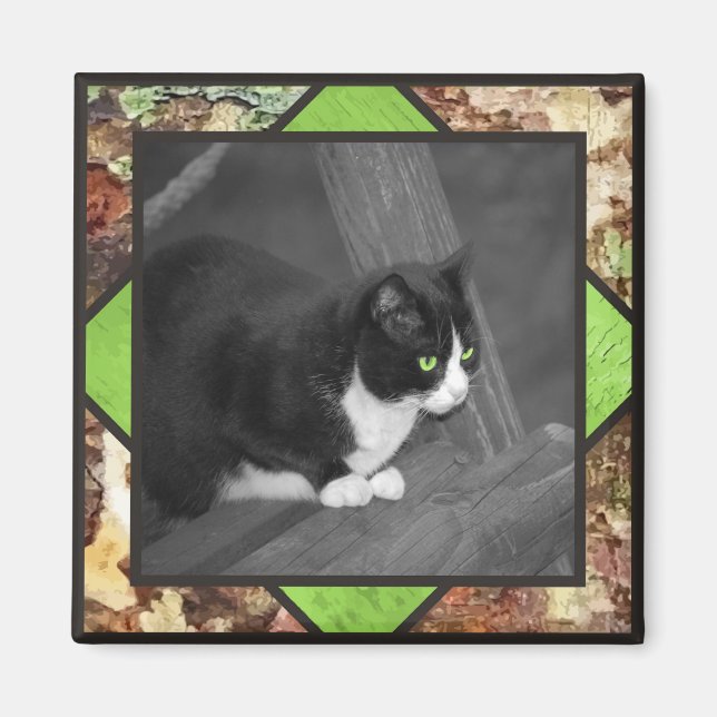 Barnyard Cat Magnet (Front)