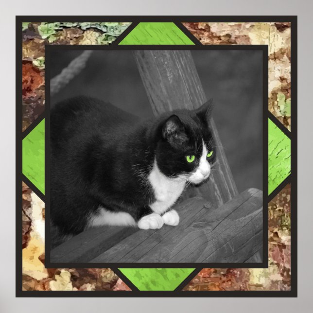 Barnyard Cat Poster (Front)