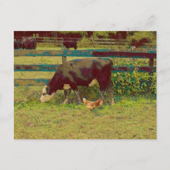 Barnyard Friends Cow & Chicken Postcard (Front)