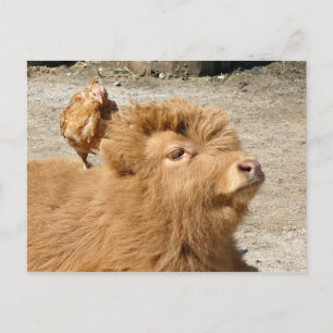 Barnyard friends postcard