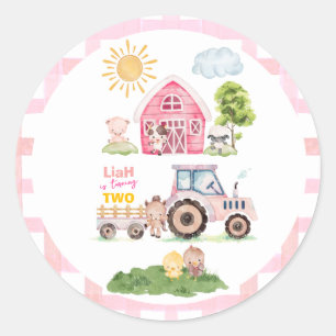 Barnyard Fun Pink 2nd Birthday  Classic Round Sticker