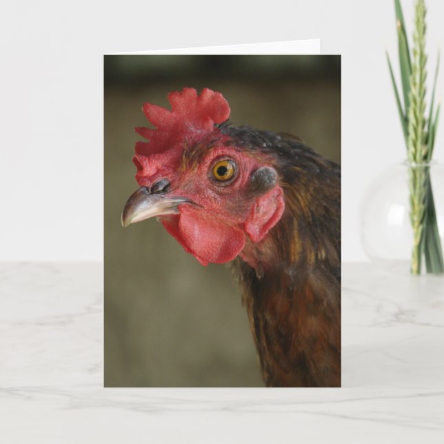 Barnyard Mix Hen Card (Front)