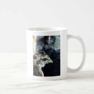 Barnyard Mixed Chicks Coffee Mug