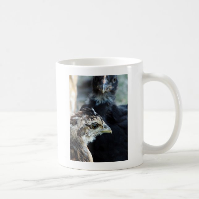 Barnyard Mixed Chicks Coffee Mug (Right)